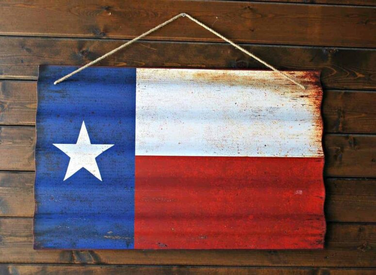 Cosas exclusivas para hacer en Texas