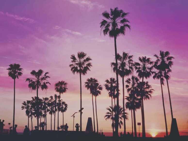 Lugares felices para visitar en Miami, Florida