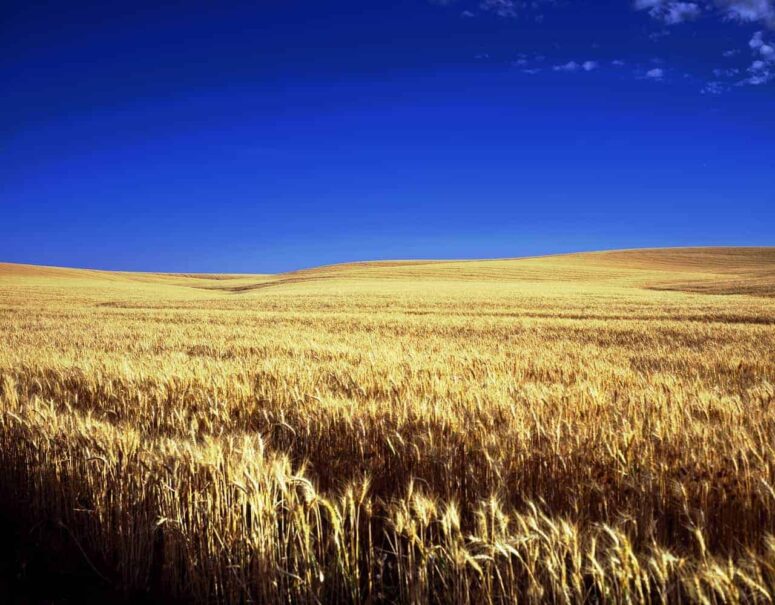 Cosas memorables para hacer en Kansas