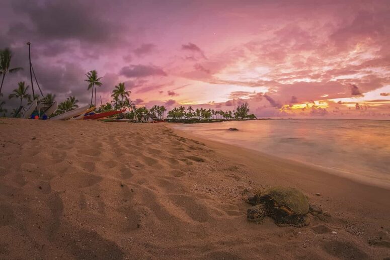 Cosas aventureras para hacer en la Isla Grande de Hawái