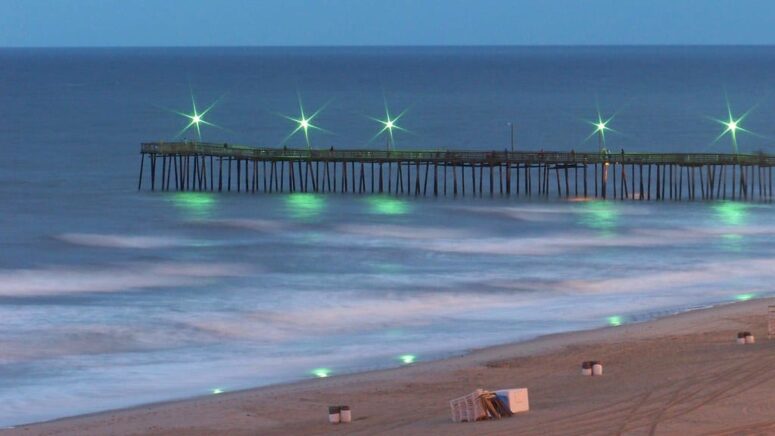 Lugares para visitar en Virginia Beach, Virginia